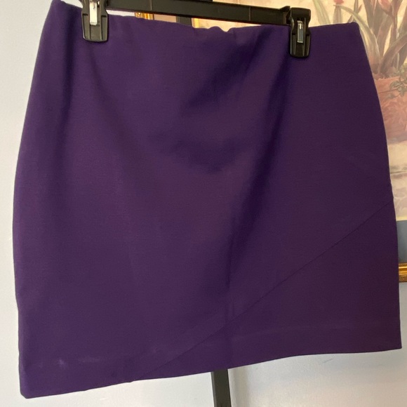 Vera Wang Mini Skirt - Picture 3 of 7